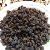 کشمش آفتابی