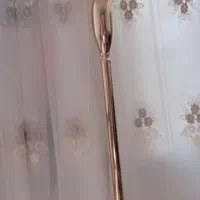 آباژور ایستاده کنار سالنی