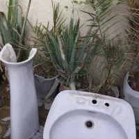 روشویی