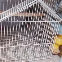 ۲عدد قفس کلبه قدیمی تله با قفس قناری مامعله دارم