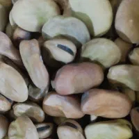 باقلا|حراج|سیمین شهر, |دیوار