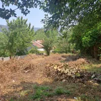 640متر نزدیک تالاب سوستان نزدیک به شهر لاهیجان|فروش زمین و ملک کلنگی|لاهیجان, کوی زمانی|دیوار