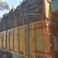 خریدار انواع چوب