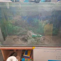 آکواریوم بزرگ