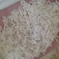 برنج فجر سوزنی گرگان