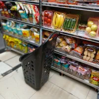 سبد فروشگاهی|فروشگاه و مغازه|تهران, اقدسیه|دیوار