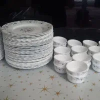 ظروف پذیرایی