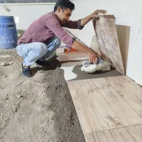 کاشی کاری|خدمات پیشه و مهارت|شوش, |دیوار