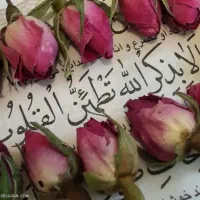 یک‌ کیف کوچک حاوی مدارک