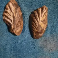 فسیل صدف دوطرفه|کلکسیون اشیاء عتیقه|کوهدشت, |دیوار