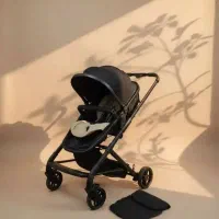 کالسکه|کالسکه و لوازم جانبی|قم, باغ شریفی|دیوار