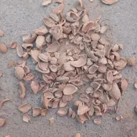 تامین و فروش پوست بادام و گردو و زرد الو و ...