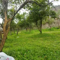 فروش منزل مسکونی شهرک ۲۲بهمن