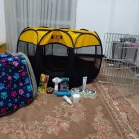 لوازم سگ پت کوله فنس پارک و پارک ۸ ضلعی