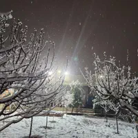 زمین باغچه ایی ۶۴۵ متر سند دار خیابان پدم|فروش زمین و ملک کلنگی|محمدشهر, شهرک چمران|دیوار