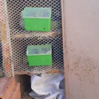 جفتگاه ۱۲تایی فلزی