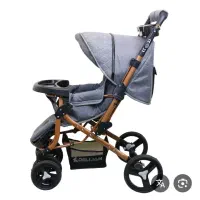 کالسکه دلیجان مدل بنیتا