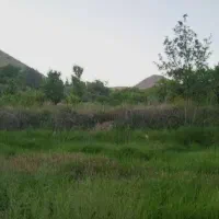 فروش-13-5-باتمان-باغ-در-روبرو-لیلپار