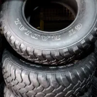 31/15ساویرو کل جنگلی