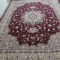 قالی|فرش|تربت جام, معدآباد|دیوار