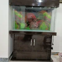 آکواریوم شیشه خم