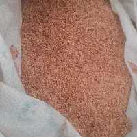 کنجد|عمدهفروشی|گرگان, |دیوار