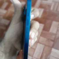 آیفون ۱۳نرمال|موبایل|سنندج, |دیوار