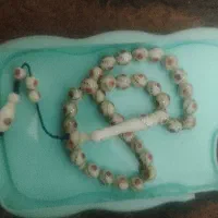 آج فیل خیلی خیلی قدیمی وکهنه