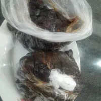 خرما بریمی و برحی