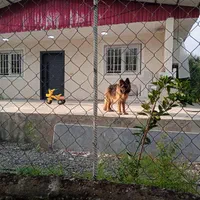 اجاره  مزرعه گردشگری پروش ماهی باغ زیتون|اجارهٔ دفتر صنعتی، کشاورزی، تجاری|نوکنده, |دیوار