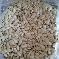 تخمه کدو|خوردنی و آشامیدنی|بهار, |دیوار