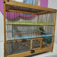 قفس سهره . و قناری