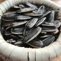 تخمه آفتابگردان/ شب یلدا گرون نخری