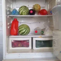 یخچال درحدنو سالم