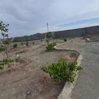 باغچه ۴دیواری ۵۵۰ مترمربع|فروش زمین و ملک کلنگی|رباط‌کریم, شهرک والفجر|دیوار