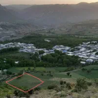 زمین-بادام