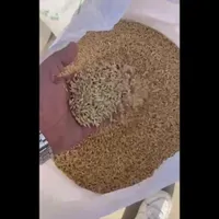 خریدارگندم وجو