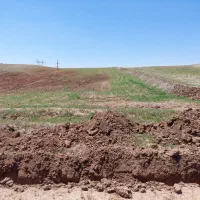زمین زراعی در بیلوردی|فروش زمین و ملک کلنگی|خواجه, |دیوار