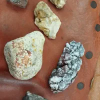 سنگ کمیاب و کلکسیونی فسیل