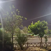 راهنمای