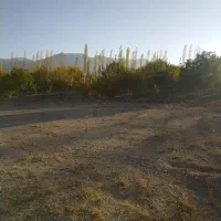 فروش زمین در منطقه ییلاقی فولاد محله|فروش زمین و ملک کلنگی|شهمیرزاد, |دیوار