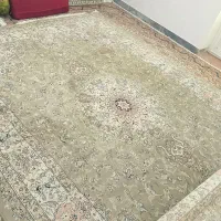 فرش|فرش|مهاباد (آذربایجان غربی), |دیوار