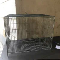 قفس پرنده ۹ عدد.قفس مینا مرغ عشق قناری جوجه پرون|لوازم جانبی حیوانات|تهران, کوی بیمه|دیوار