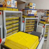 دستگاه جوجه کشی ققنوس واسکندری|لوازم جانبی حیوانات|نوبران, |دیوار