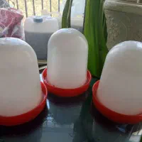 آبخوری بلدرچین