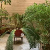 ۱۷۵ متر ۳ خوابه تکواحدی پارک ساعی