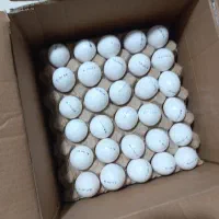 تخم مرغ زیر قیمت بازار