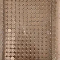 سینی سکه شیرو خورشید عتیقه