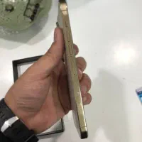 13 promax