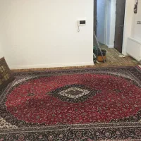 فرش ماشینی ۱۲ متری|فرش|رشت, آزادگان|دیوار